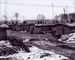 DQ housing in the 80s