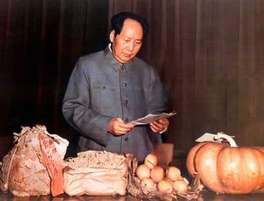 1956年毛泽东在看农民写给他的丰收报喜信