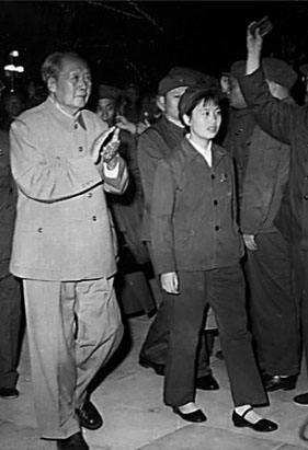 12036993471972676590