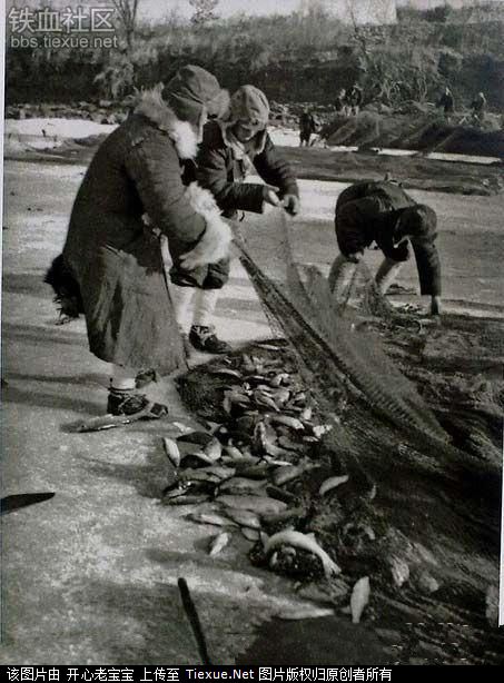 1953 黑龙江牡丹江 冰下捕鱼