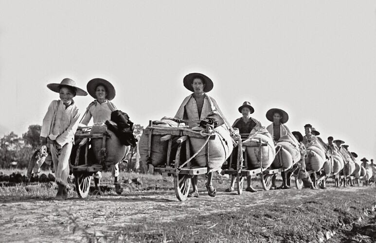 1954 年秋，湖北农民积极向国家出售余粮