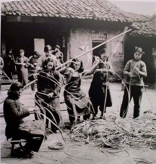 1959 四川德阳为保证“万斤田”的小麦不倒伏而准备为其搭架