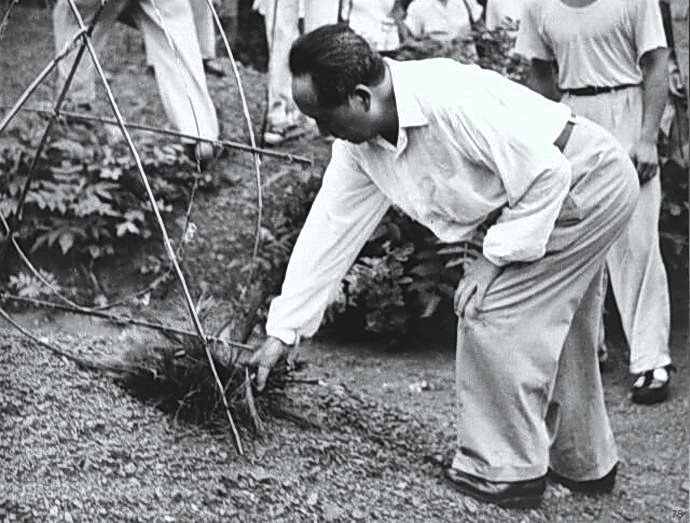 1959年，毛泽东在故乡湖南韶山冲象鼻山为父母亲扫墓