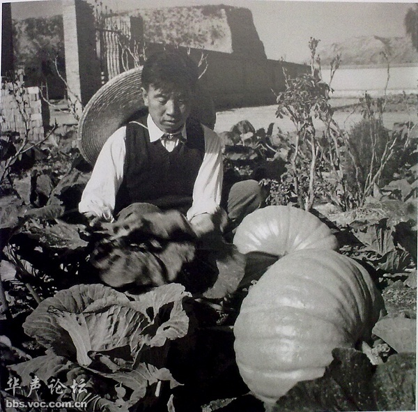 1960•甘肃临夏 粮食供应紧张，机关干部自己种菜。