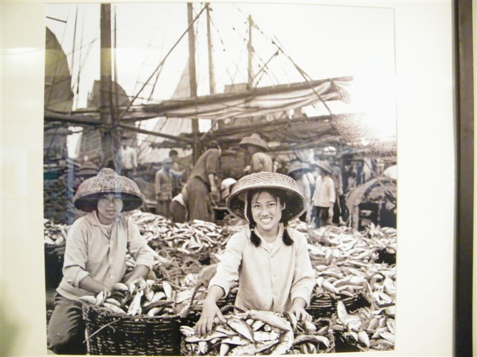 1974，广东海丰，大丰收