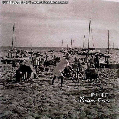 drying jellyfish on the beach shantou 1959