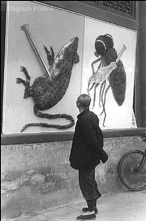 北京，除四害宣传画 1958
