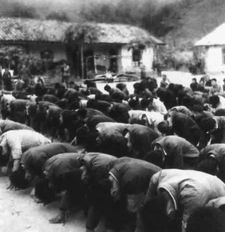 在1978年冬到1979年春，云南的西双版纳发生了一场数万知青下跪请愿大返城的事件 1