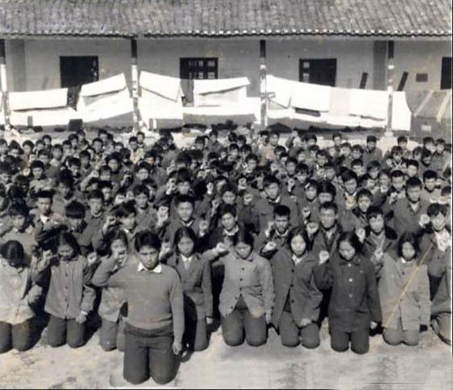 在1978年冬到1979年春，云南的西双版纳发生了一场数万知青下跪请愿大返城的事件 2