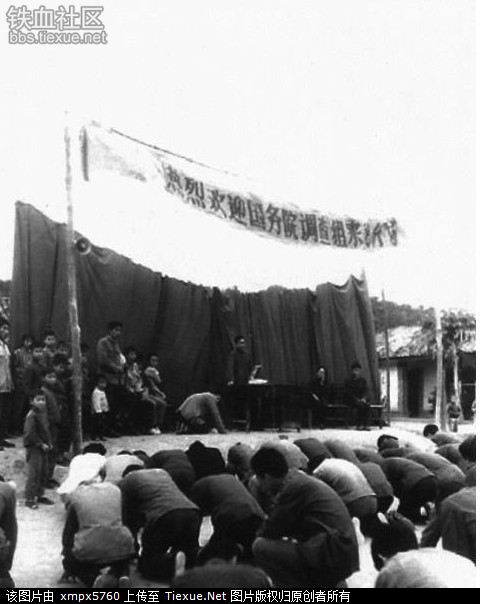 在1978年冬到1979年春，云南的西双版纳发生了一场数万知青下跪请愿大返城的事件 5