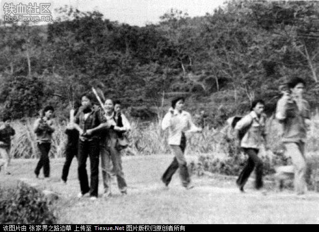 1979 农场的知青女民兵，边生产边军训，劳武结合。yunnan