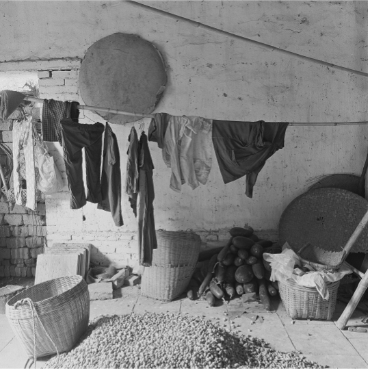 1979年，广州白云山下的农家