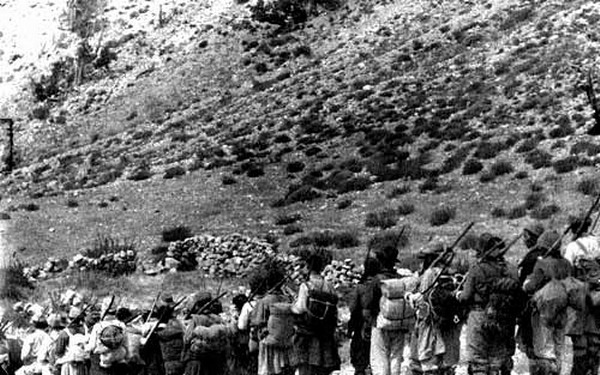 d247b2dfb0cabe95f443bd66a8635dd3