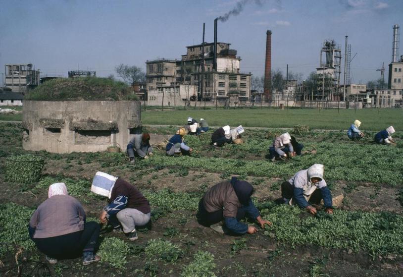 人民公社，上海，1980 People’s commune with a bunker built by Tchang Kaishek’s army Shanghai 1980