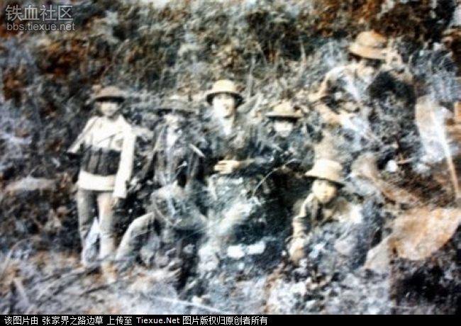 战场胜利归来 1979