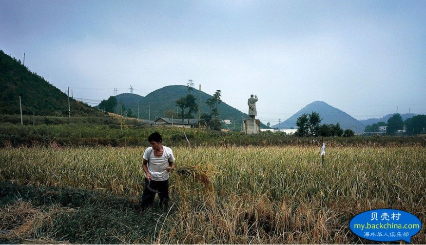 121546fnvtnqkczjcetqv9