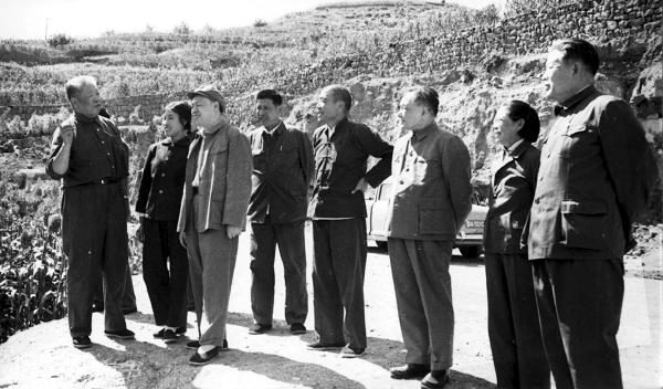 19082849_2014121009242825236700