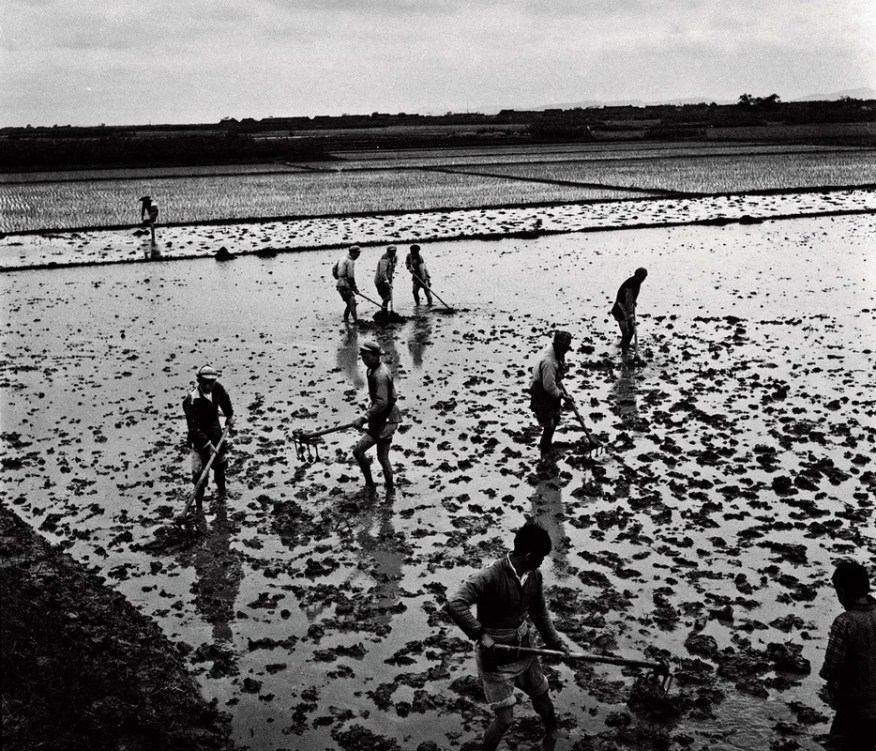 ead86fe7eb142ce0b2e7068d30a87b2b