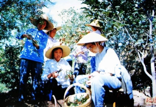 r_19082849_2014121009242842369800