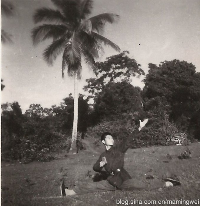 159_51394_3374595e672f535