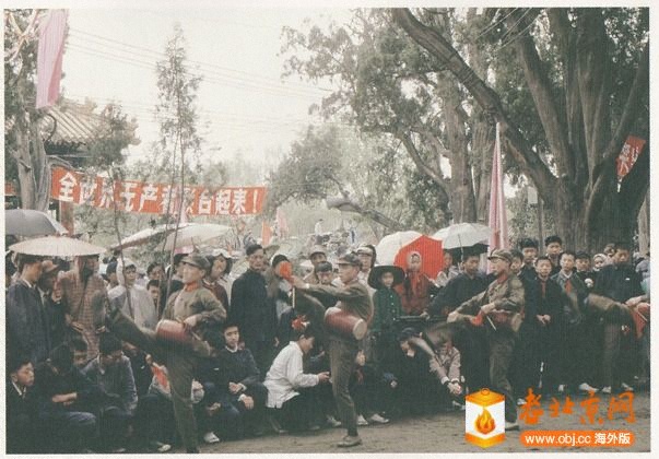 184627ntg6g65v04j4av6t