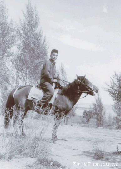 20108054834d22399ab085c