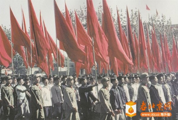 203951rocc8cfbopcu5jdo