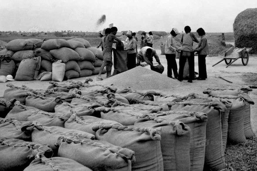 45272_456979_627688 (1)