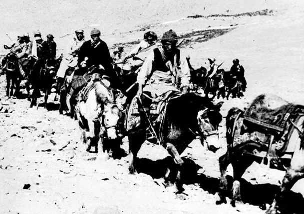 85cf7de0-cab4-4d04-85b4-274e85dd2f3c