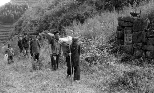 r_18501808_2014051414215893553300