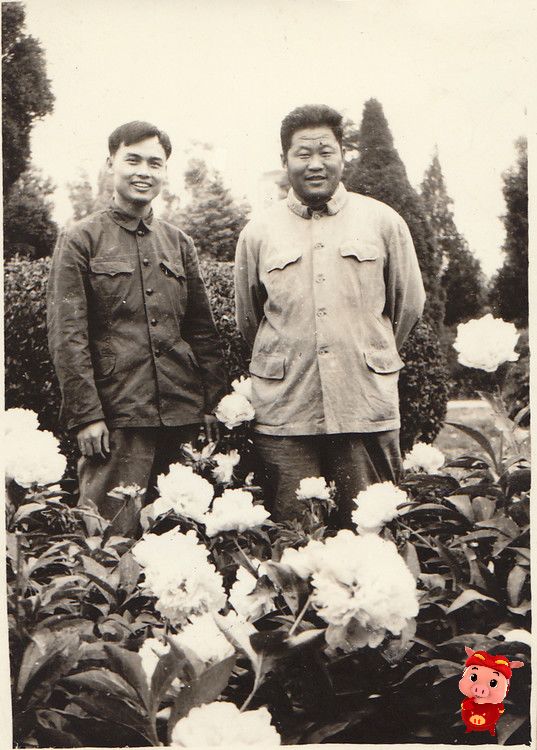 003hGfkdzy6IYk5K0wX5b&amp;690