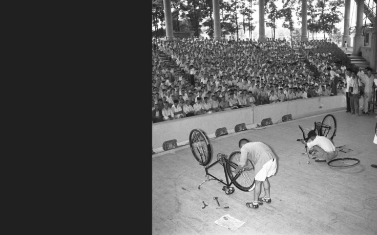 3745e21d4613B4tvLUBq