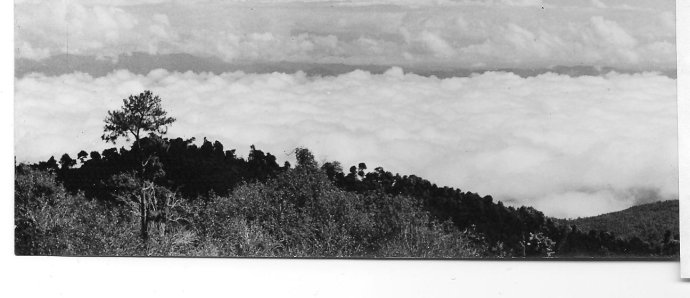 628a64b0g7ee83e69ae02&amp;690