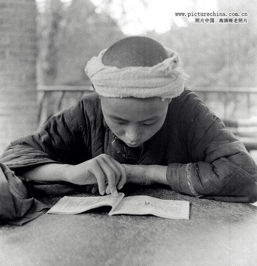 2333818_14116165309136