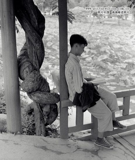 2333818_14116165316667