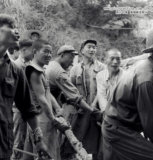 2333818_14116165325213