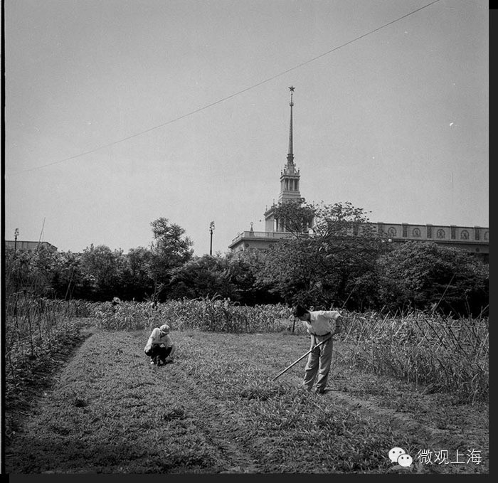 5554415_201406091827230301