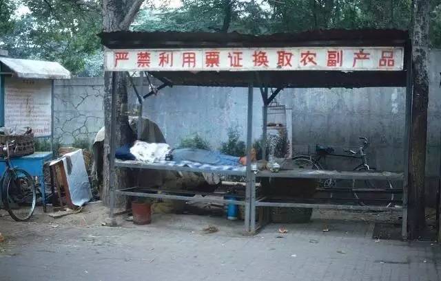 article_234461_0806177