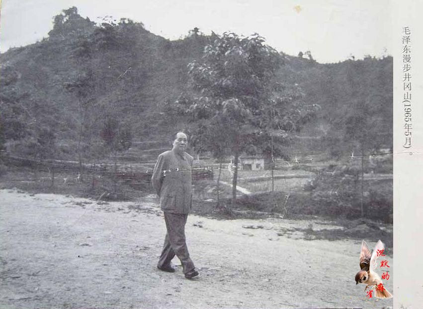 1089871109841362502 (1)