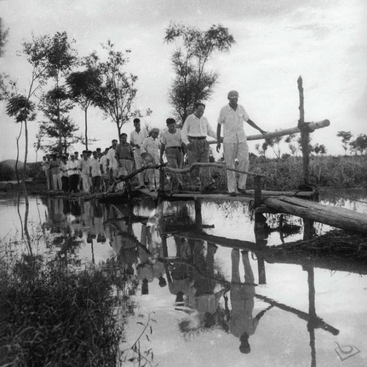 50654081d007cc8fa469e7224cea3660