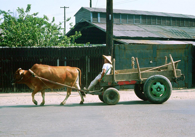 b4b711a2e1557a3bbc9d9264035ccef1