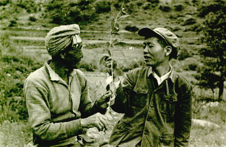 1.6 中药组王常铭虚心向老药农学习