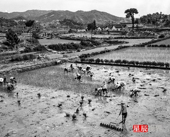 document_news_content_55a8d853df640