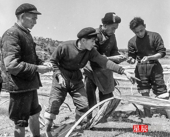 document_news_content_55a8d87d9b3a3