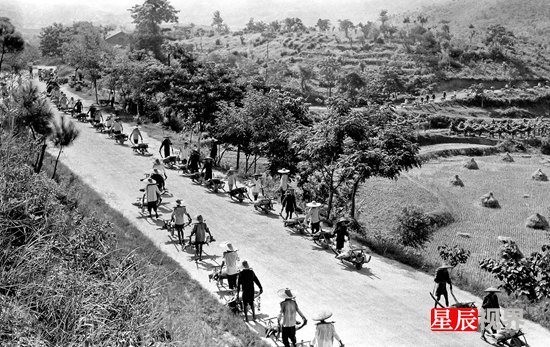 document_news_content_55a8d934a27f5