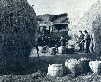 hubezhou-1964-xuguangyingchun001