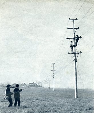 hubezhou-1964-xuguangyingchun003