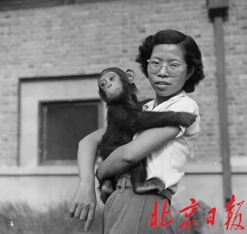 W020160328321977398026