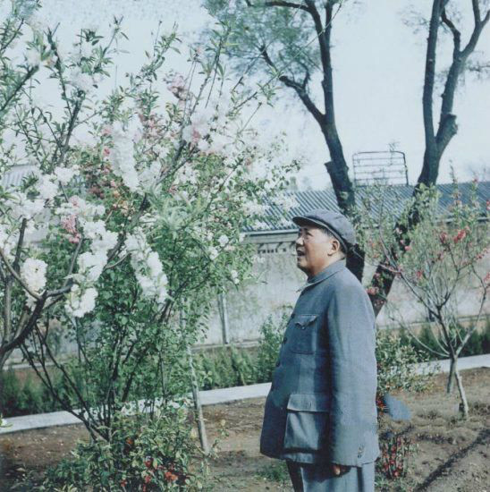 20648030_201412161140510476