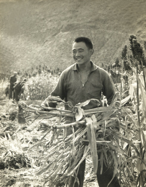 4b672dd8tadf5bb2d77b1&amp;690